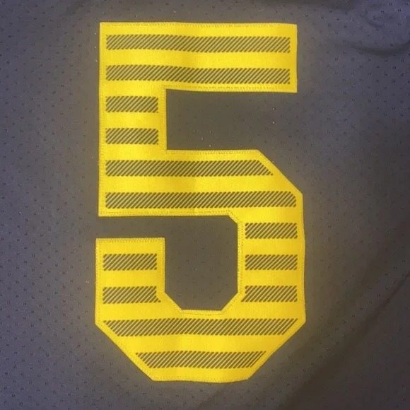 Michigan Wolverines Football Jersey